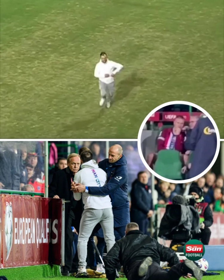 太陽報：在挪威和摩爾多瓦的比賽中，一球迷試圖沖入球場找哈蘭德